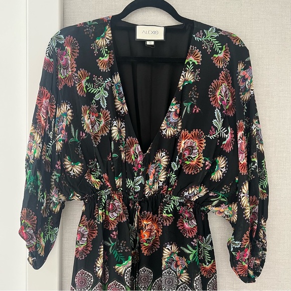 Alexis Holli Dress- Size S; Excellent Condition - Picture 3 of 14